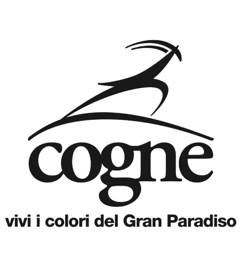 logo cogne
